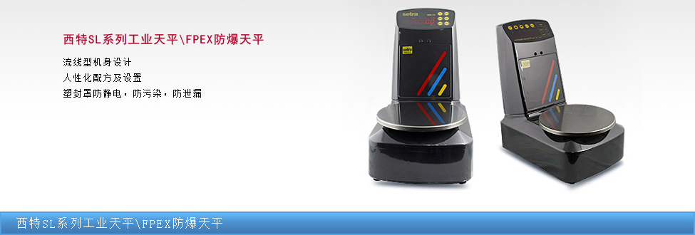 SLϵ���������������ƽ